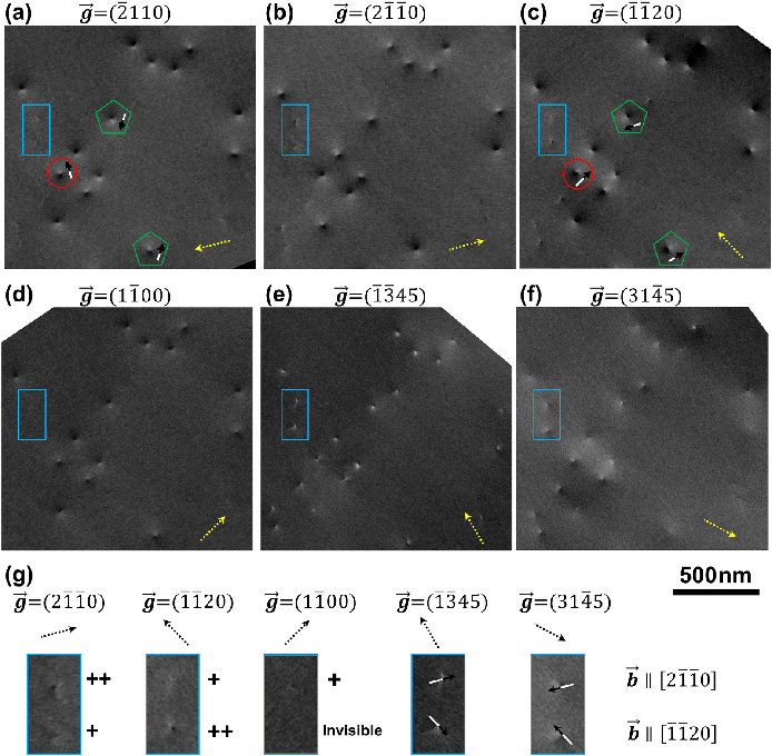 场发射海东扫描电镜