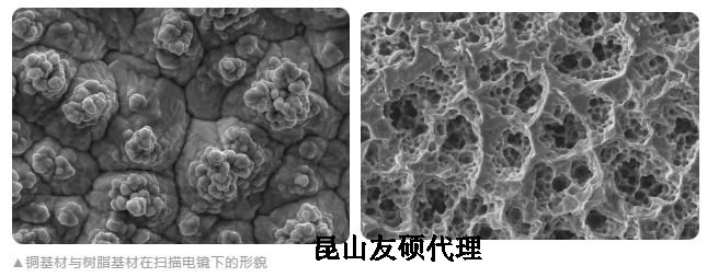 海东蔡司海东扫描电镜