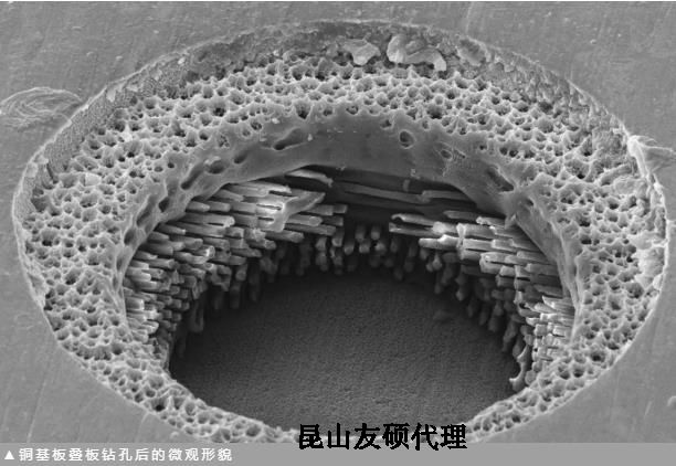 海东蔡司海东扫描电镜